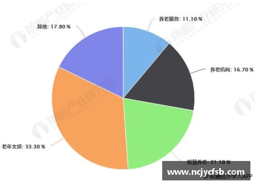 爱尔兰球员待遇现状：薪资水平与职业发展分析