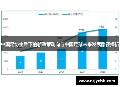 中国足协主导下的新政策动向与中国足球未来发展路径探析