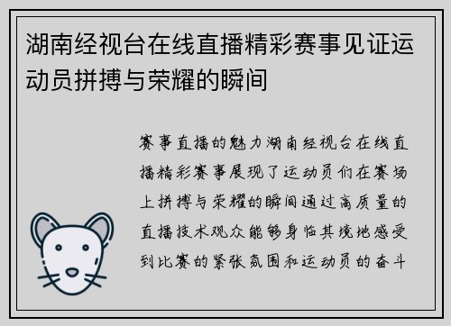湖南经视台在线直播精彩赛事见证运动员拼搏与荣耀的瞬间