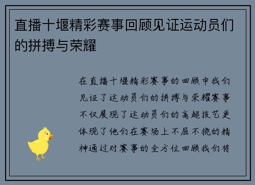 直播十堰精彩赛事回顾见证运动员们的拼搏与荣耀